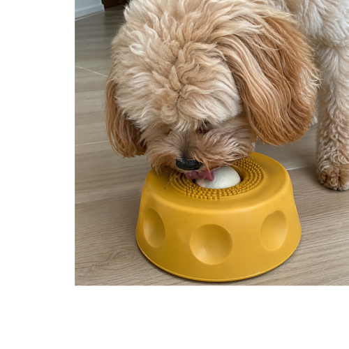 Wolli Lick Bowl